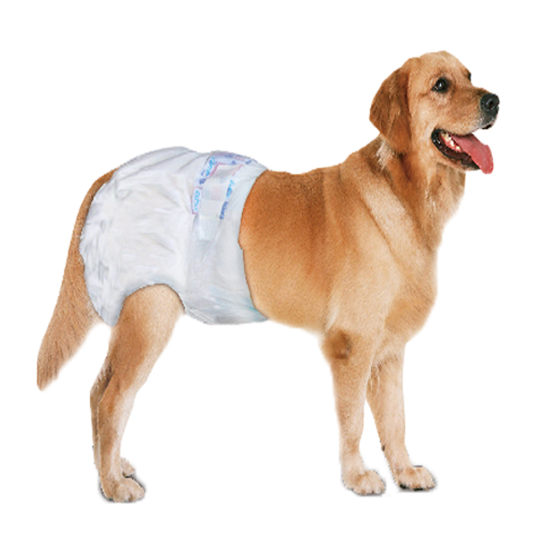 pet with diapers